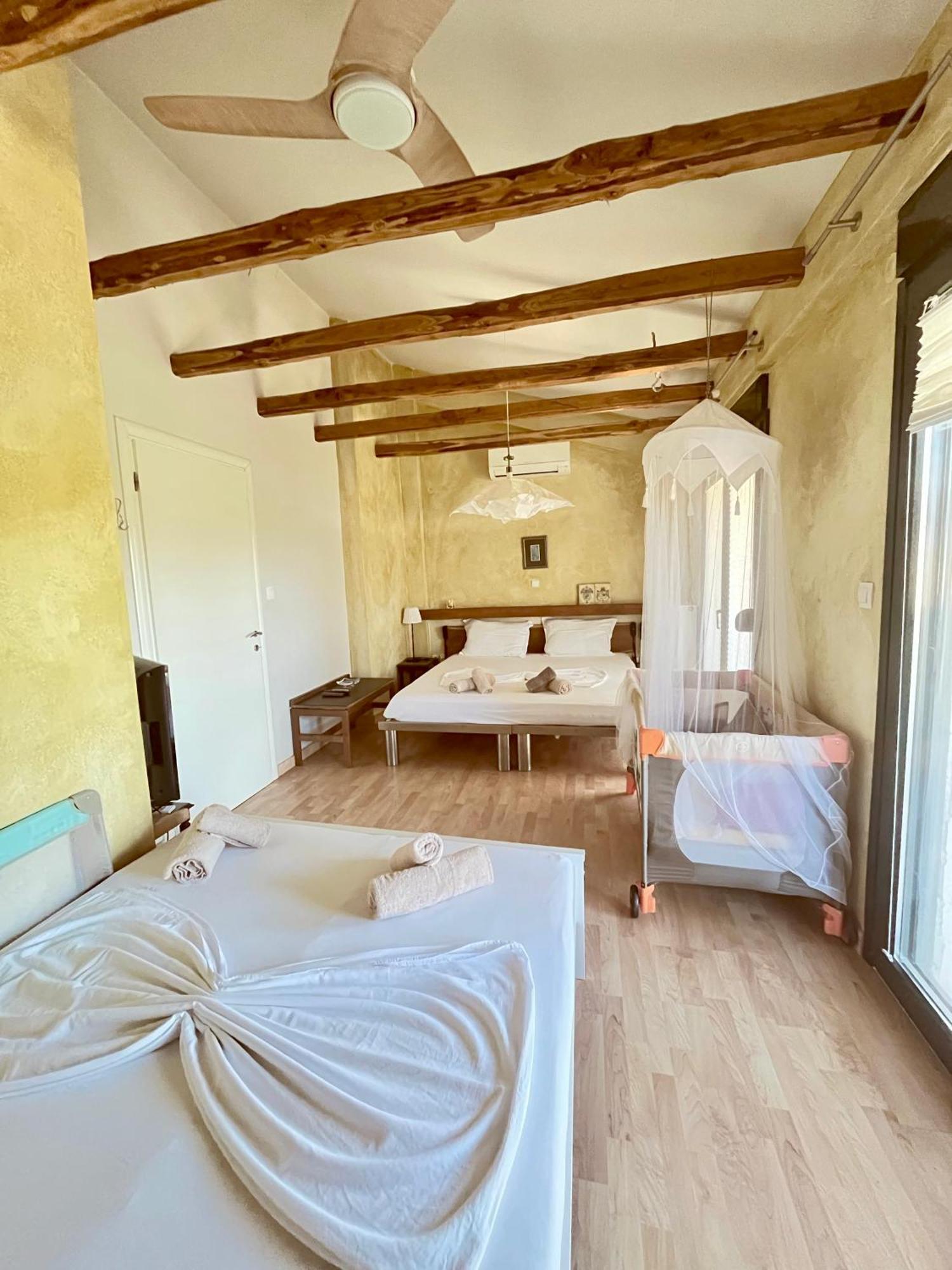 Villa Mikael Pool Paliouri
